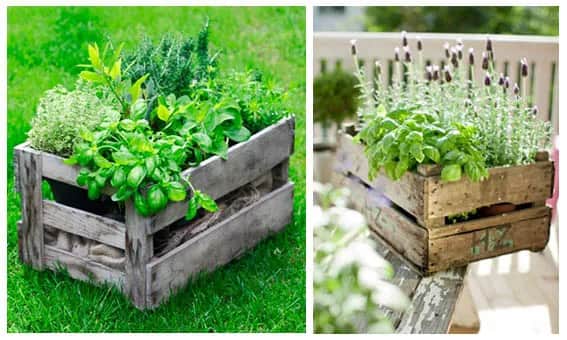 Domowy ogród: jak założyć i pielęgnować zielony azyl przy domu