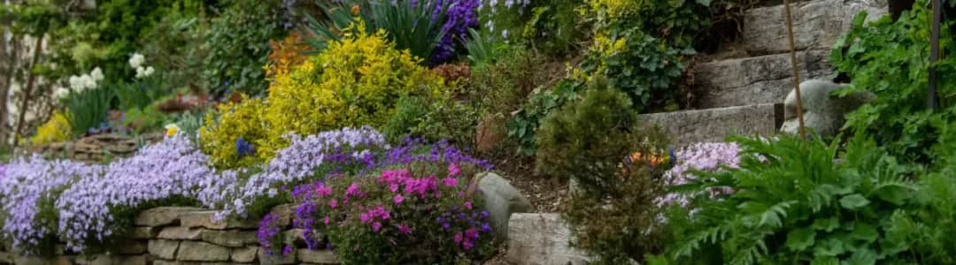 Jakie rośliny na skarpę przy tarasie? Sprawdzone pomysły na piękny i stabilny ogród