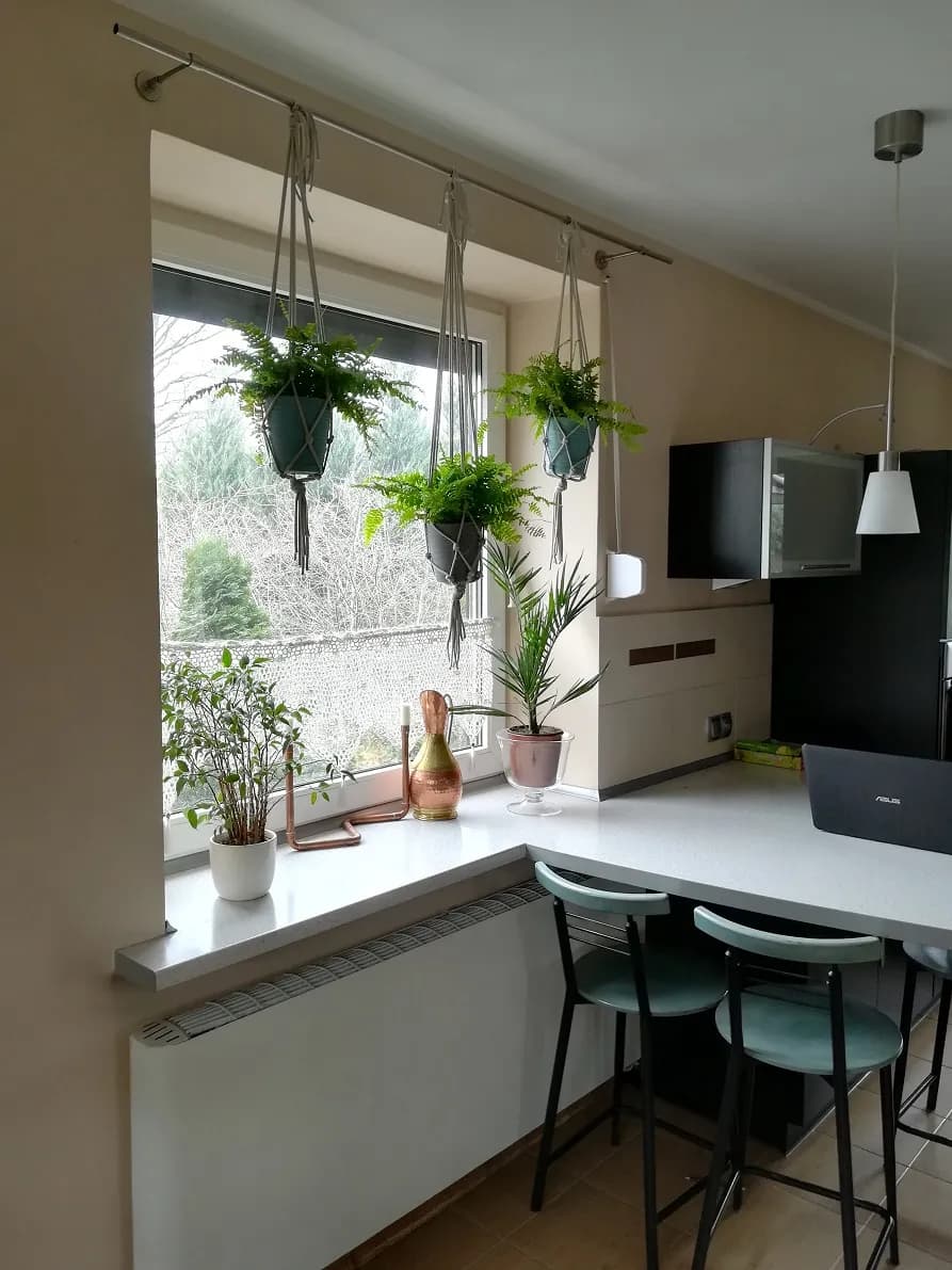 Co do okna zamiast firanek? Odkryj stylowe i funkcjonalne alternatywy