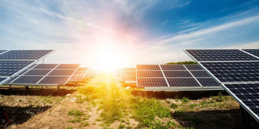 Ile kosztuje budowa farmy fotowoltaicznej? Sprawdź, jak uniknąć wysokich kosztów