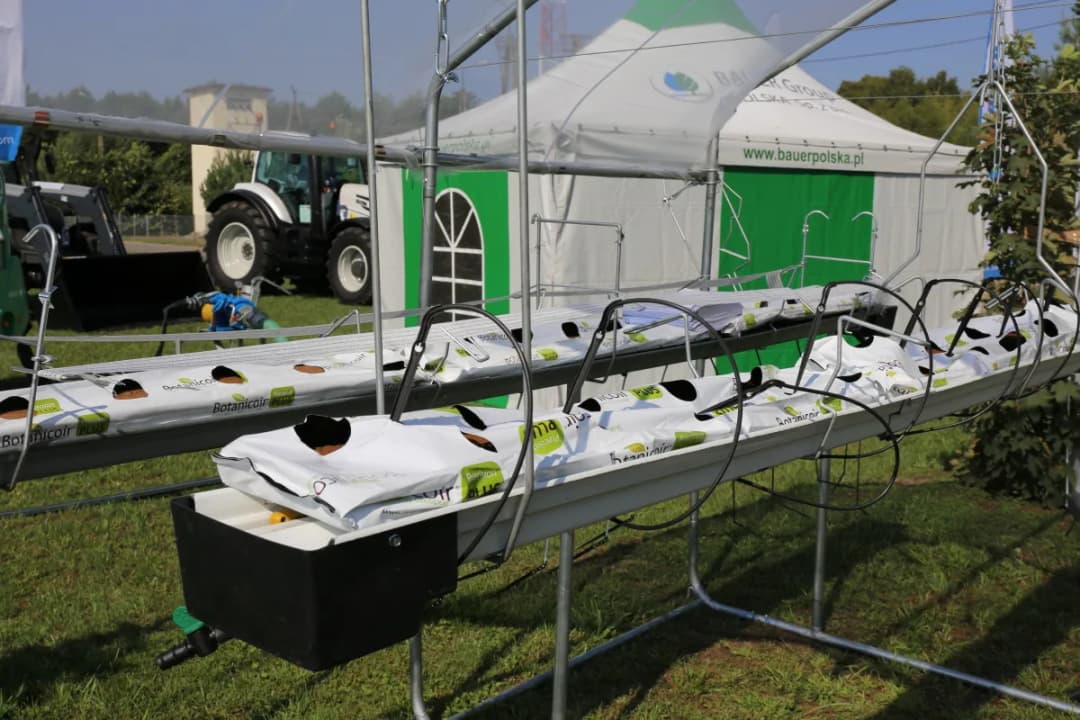 Najlepsze rusztowania do malin od Agronom – klucz do zdrowych plonów